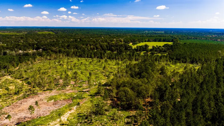 008 Buddy Lloyd Rd, Livingston, TX 77351 - #3