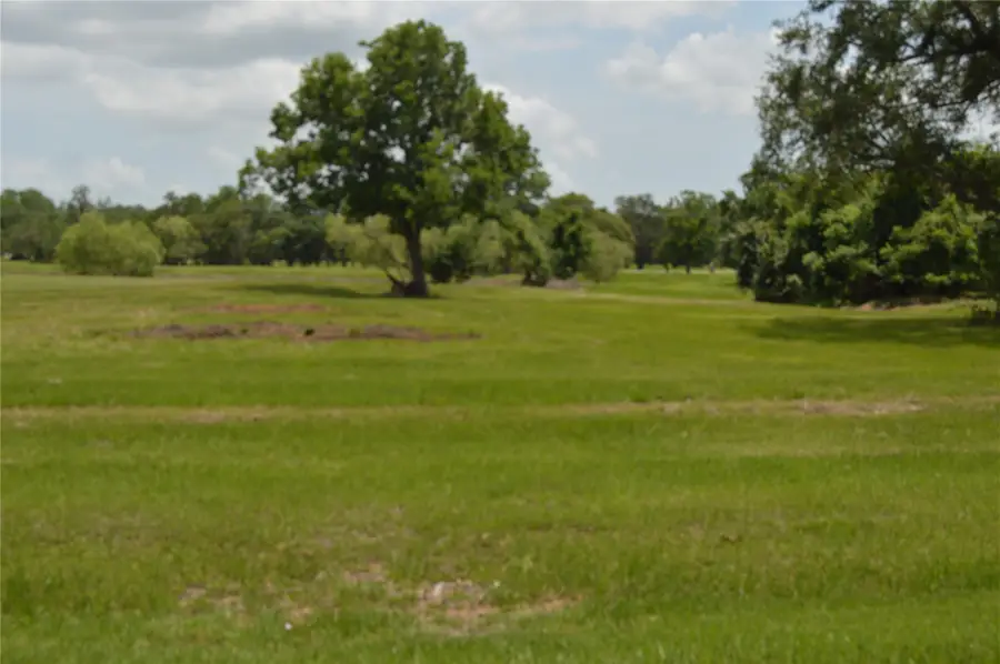 327 Cavalry Trail Drive, Rosharon, TX 77583 - #3