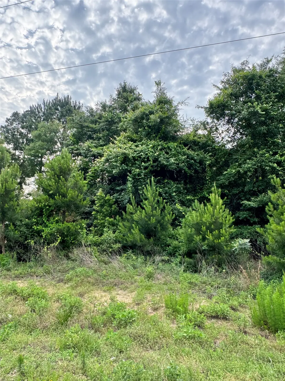476 County Road 3773, Cleveland, TX 77327 - #1
