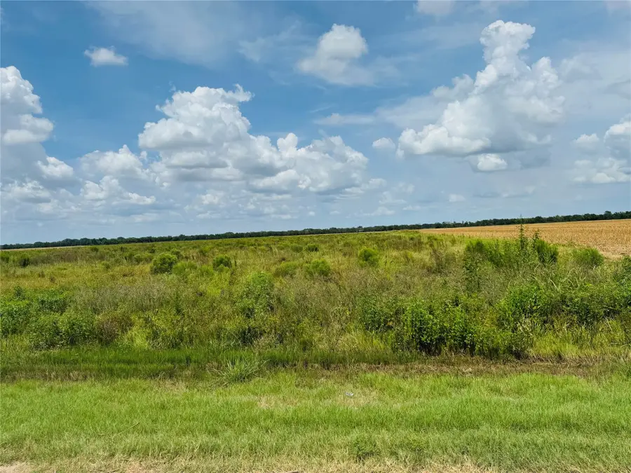 TBD Beard Road, Needville, TX 77461 - #3