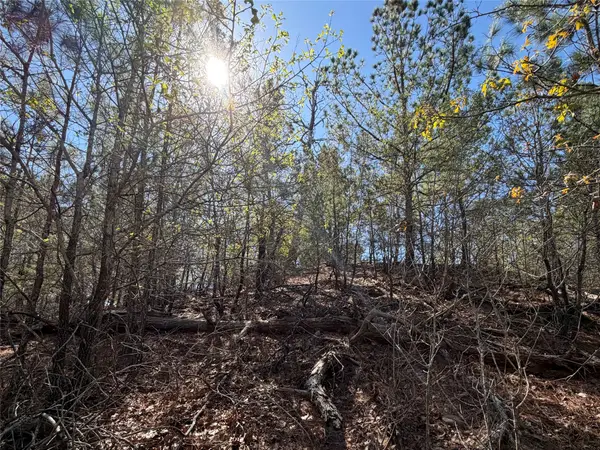 TBD Mamalu Drive, Bastrop, TX 78602