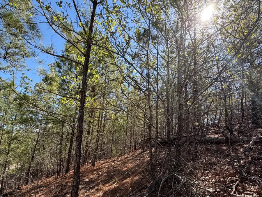 TBD Mamalu Drive, Bastrop, TX 78602 - #2