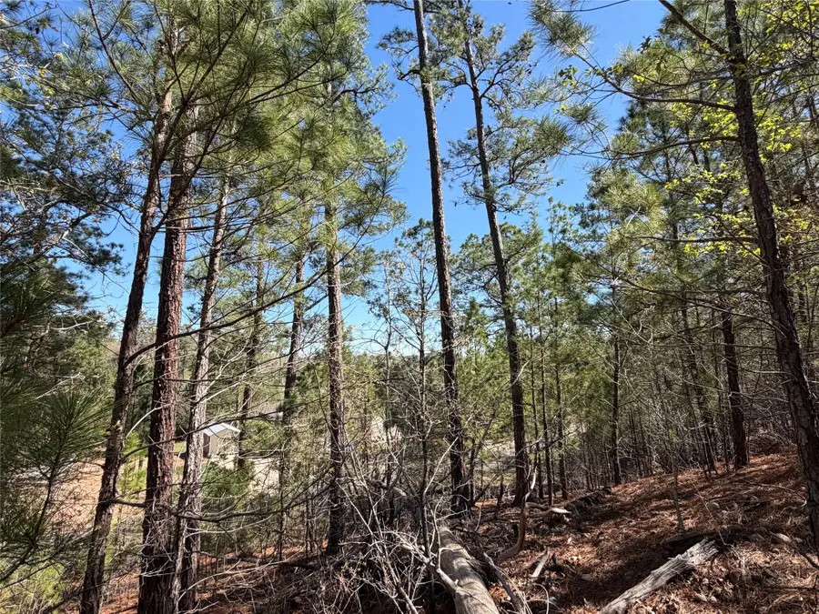 TBD Mamalu Drive, Bastrop, TX 78602 - #3