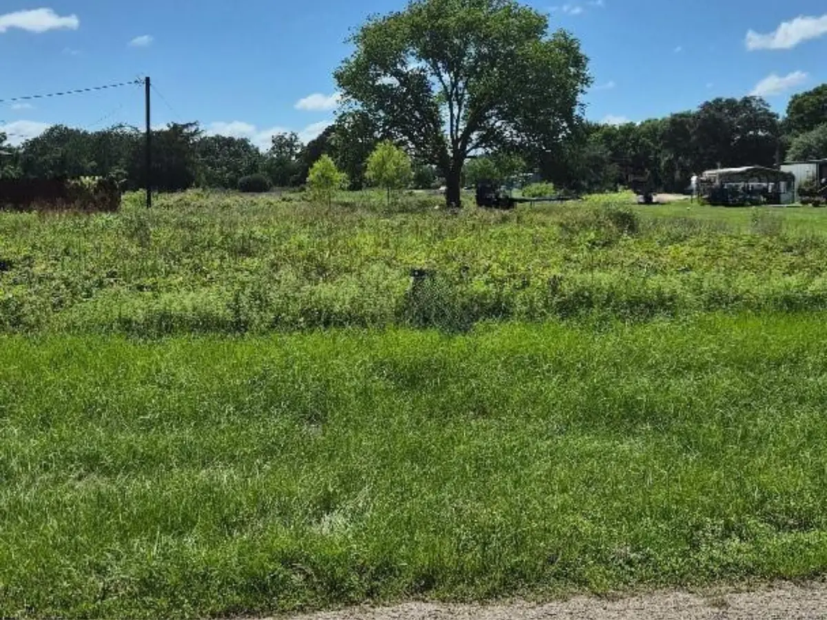 Lot 6 BLK 417 Cemetery Road, Hempstead, TX 77445 - #1