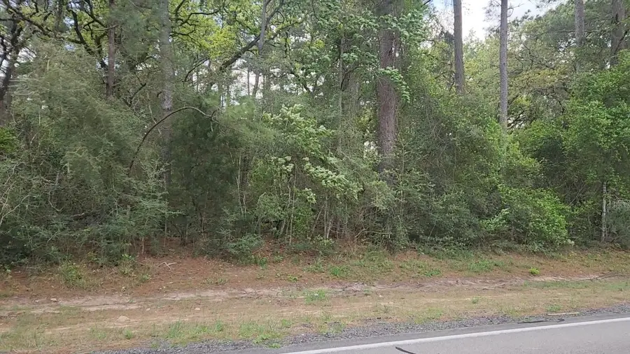 Lot 2 N Council Drive, Hempstead, TX 77445 - #3