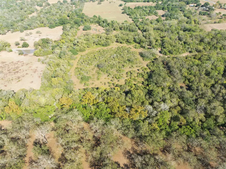 202 County Road 142b, Sublime, TX 77986 - Image #3