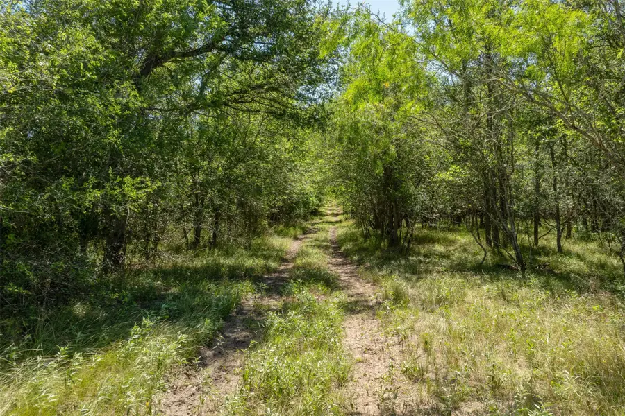 0 County Road 408, Waelder, TX 78959 - Image #3