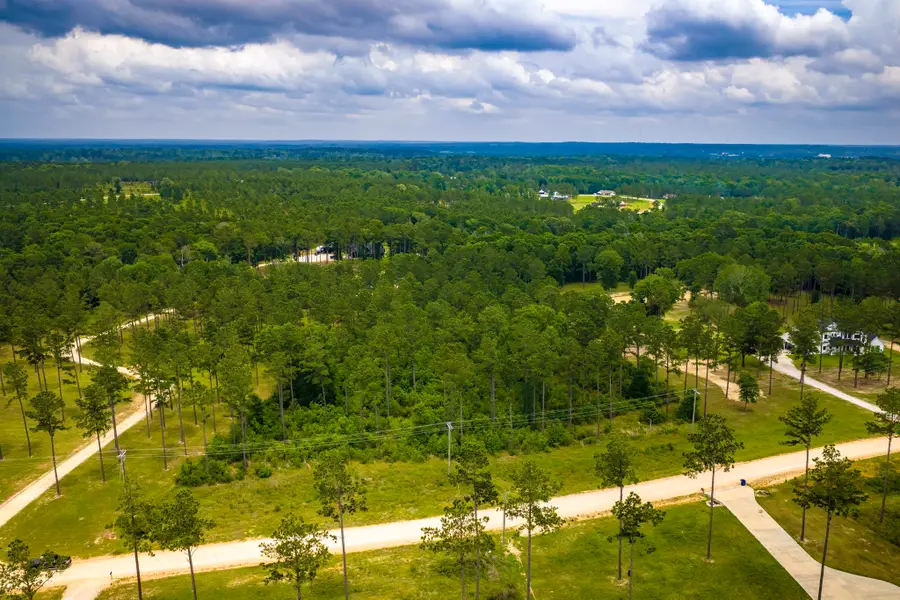 TBA Red Lowe Road, Livingston, TX 77351 - #3