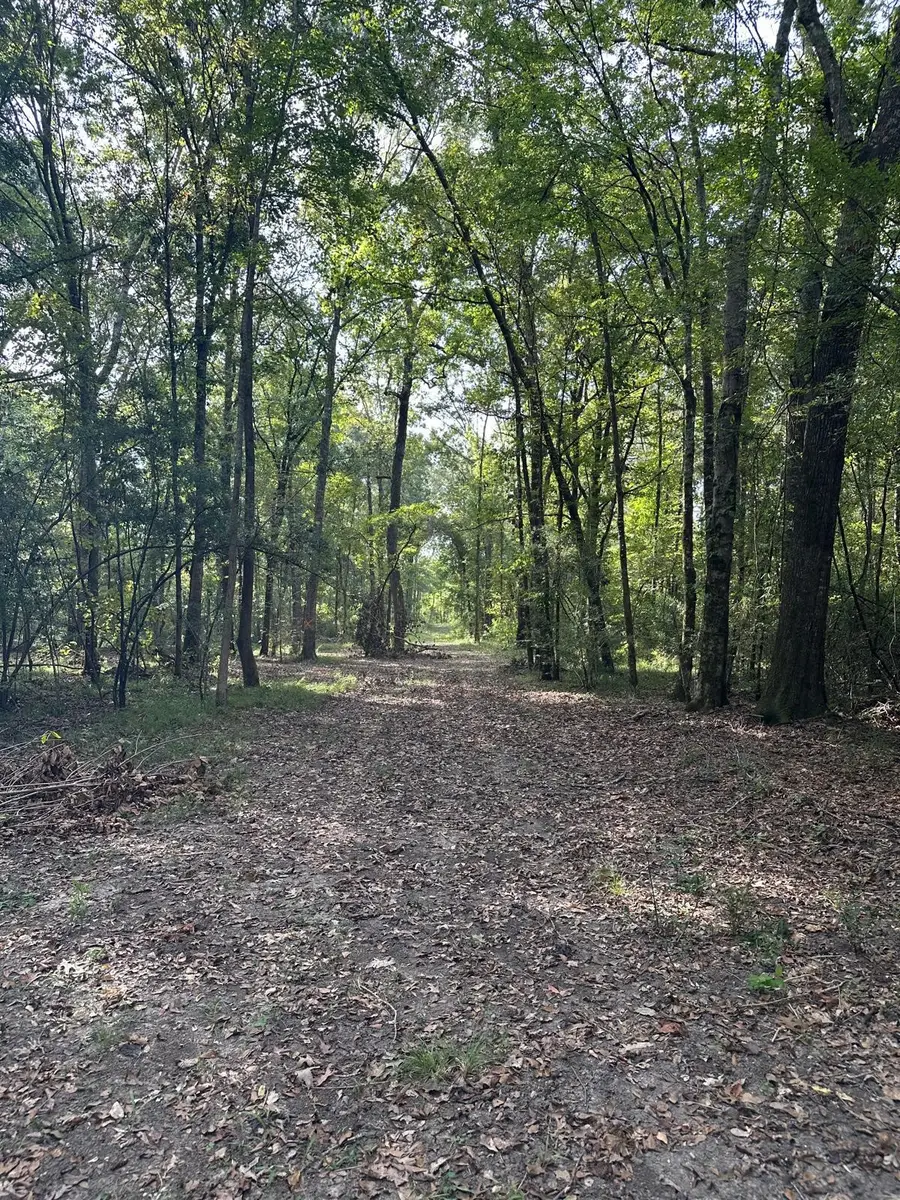 0 Buck Creek Drive, Shepherd, TX 77371 - #3
