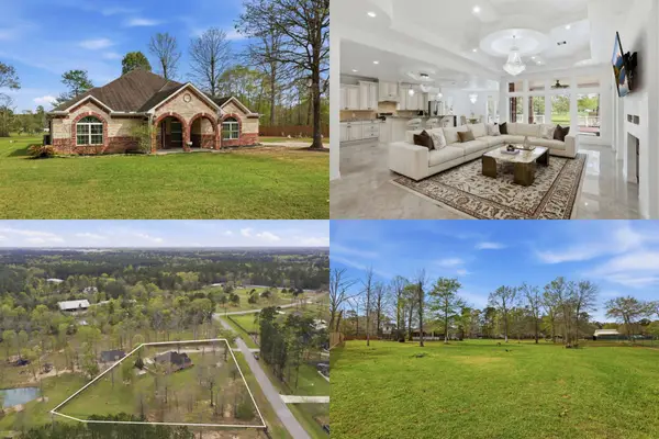 9942 Ramzi Drive, Conroe, TX 77303