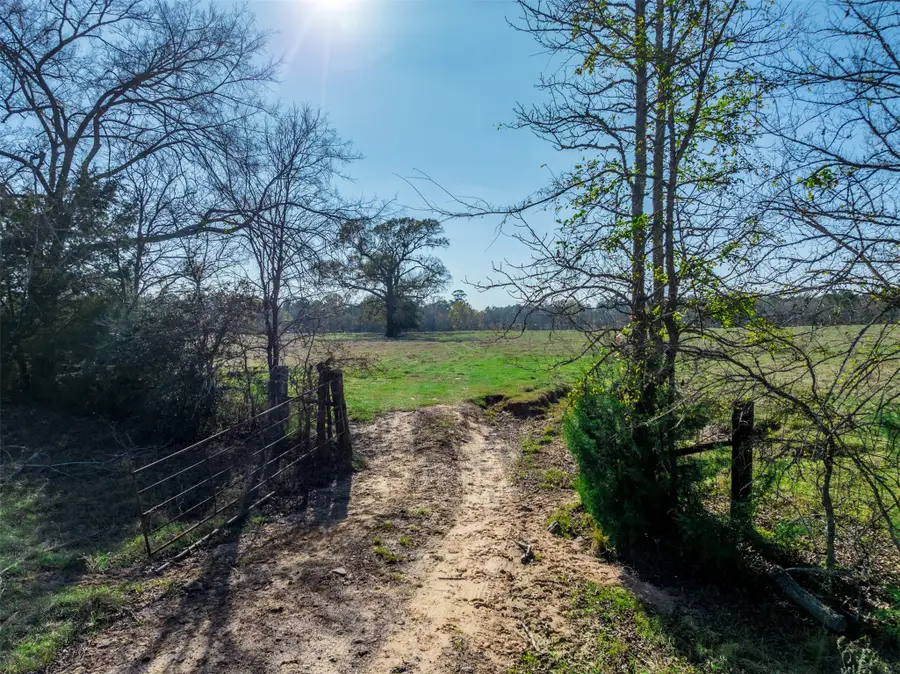 0 An County Road 153, Palestine, TX 75801 - Image #3