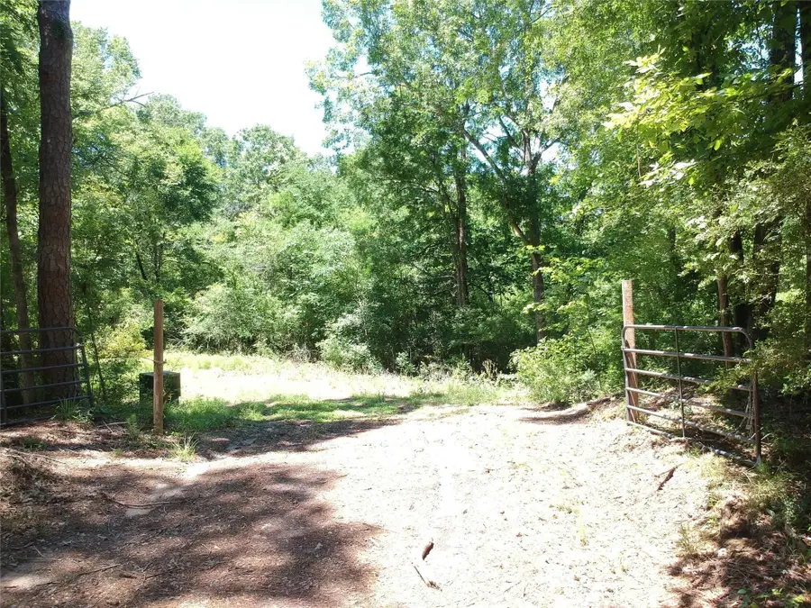 5183 Felix Currie Road, Point Blank, TX 77364 - #2