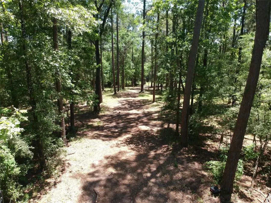 5183 Felix Currie Road, Point Blank, TX 77364 - #3