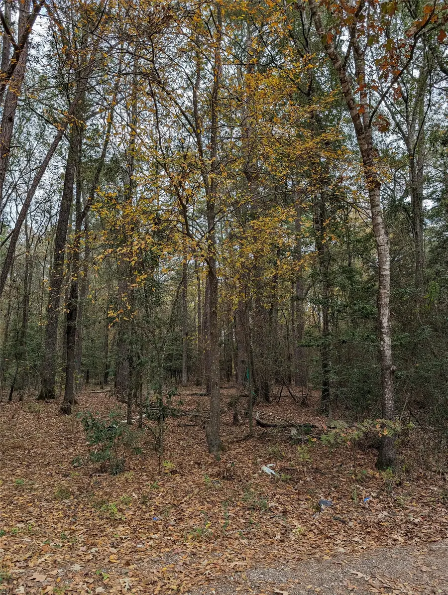 0 N Westwood Drive, Conroe, TX 77302 - #2