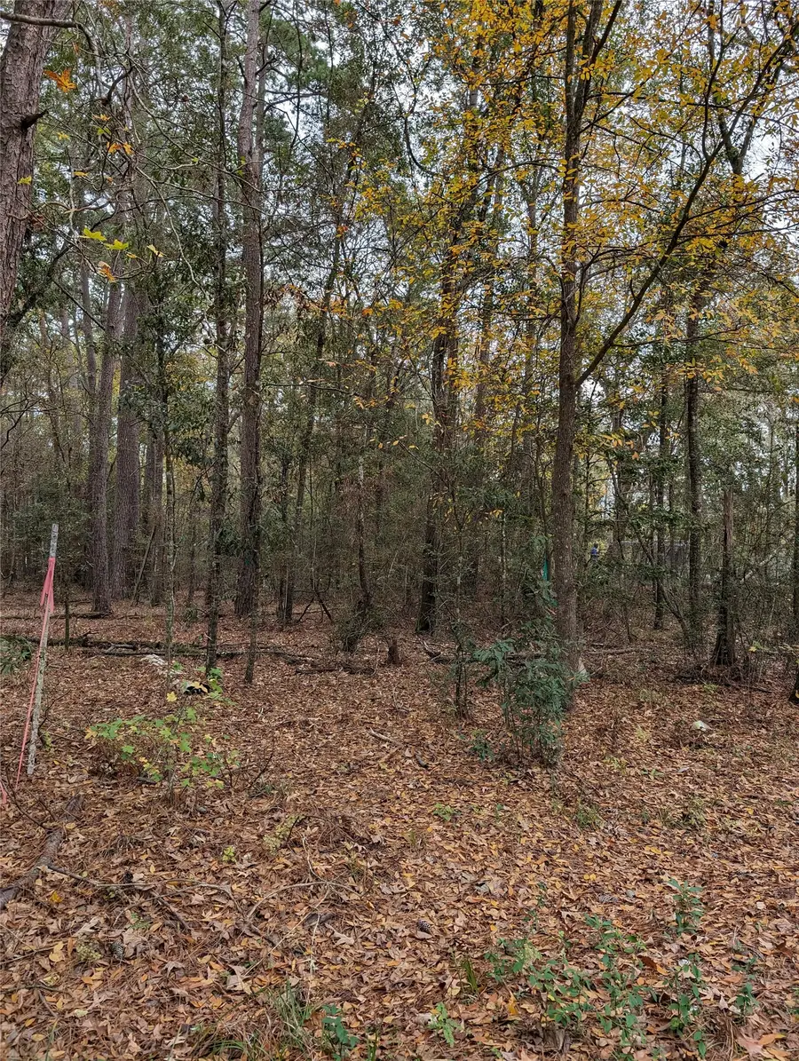 0 N Westwood Drive, Conroe, TX 77302 - #3