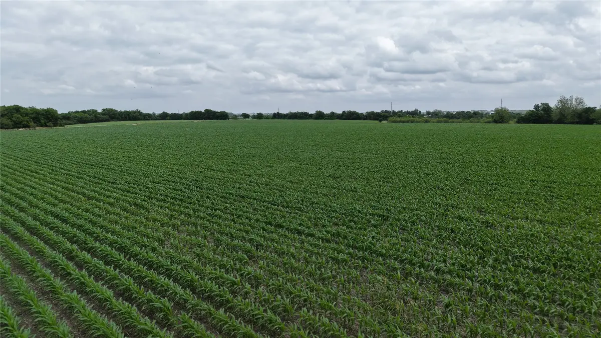 53 County Road 453, Taylor, TX 76574 - #1