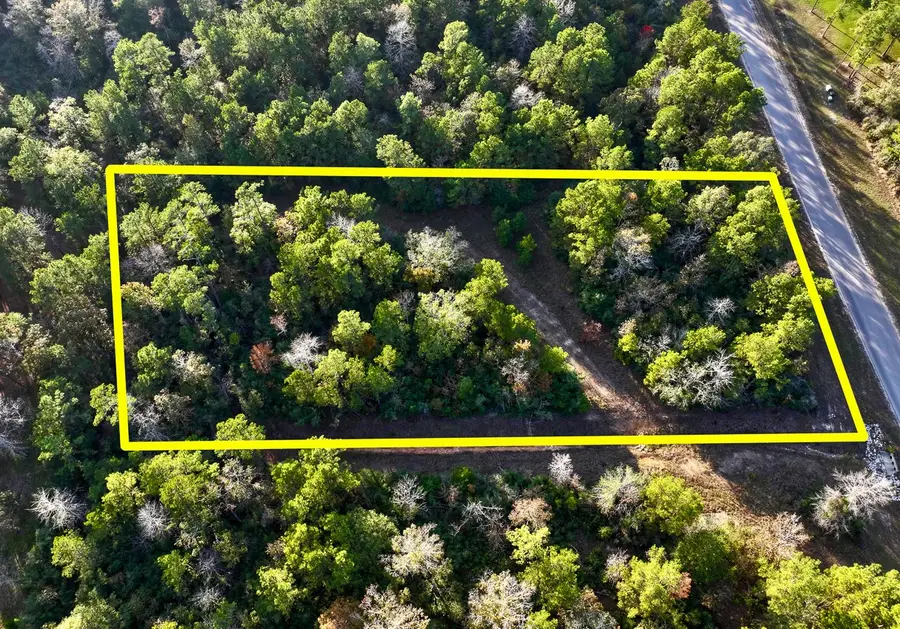 10662 Ruger Road, Willis, TX 77378 - Image #3