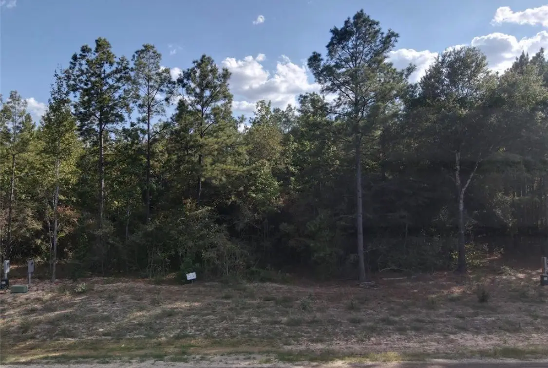 126 Exploration Road, New Waverly, TX 77358 - #1