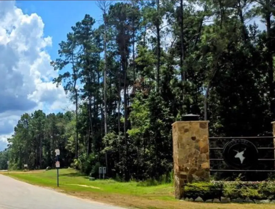 126 Exploration Road, New Waverly, TX 77358 - #2