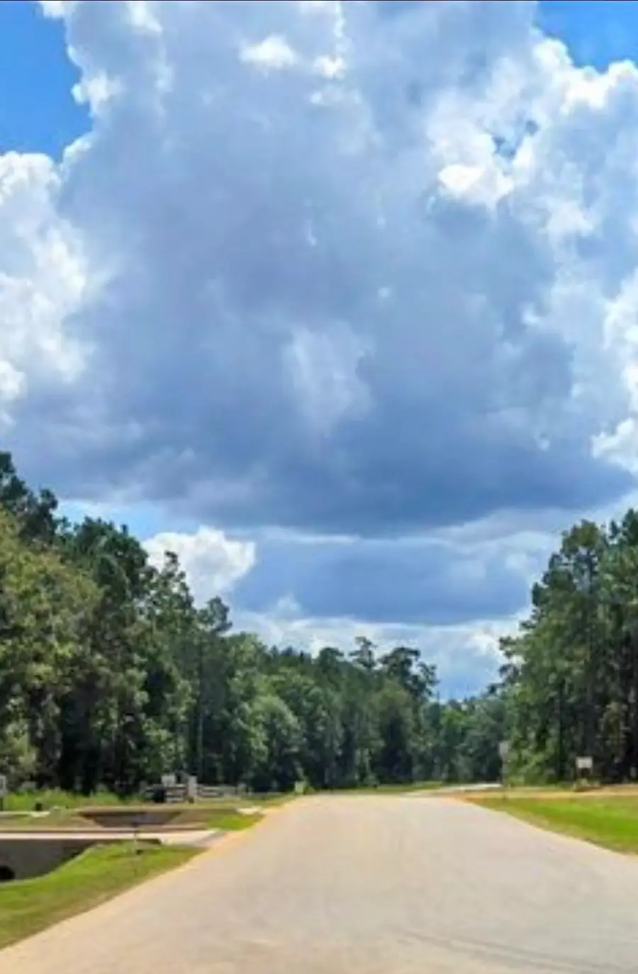 126 Exploration Road, New Waverly, TX 77358 - #3