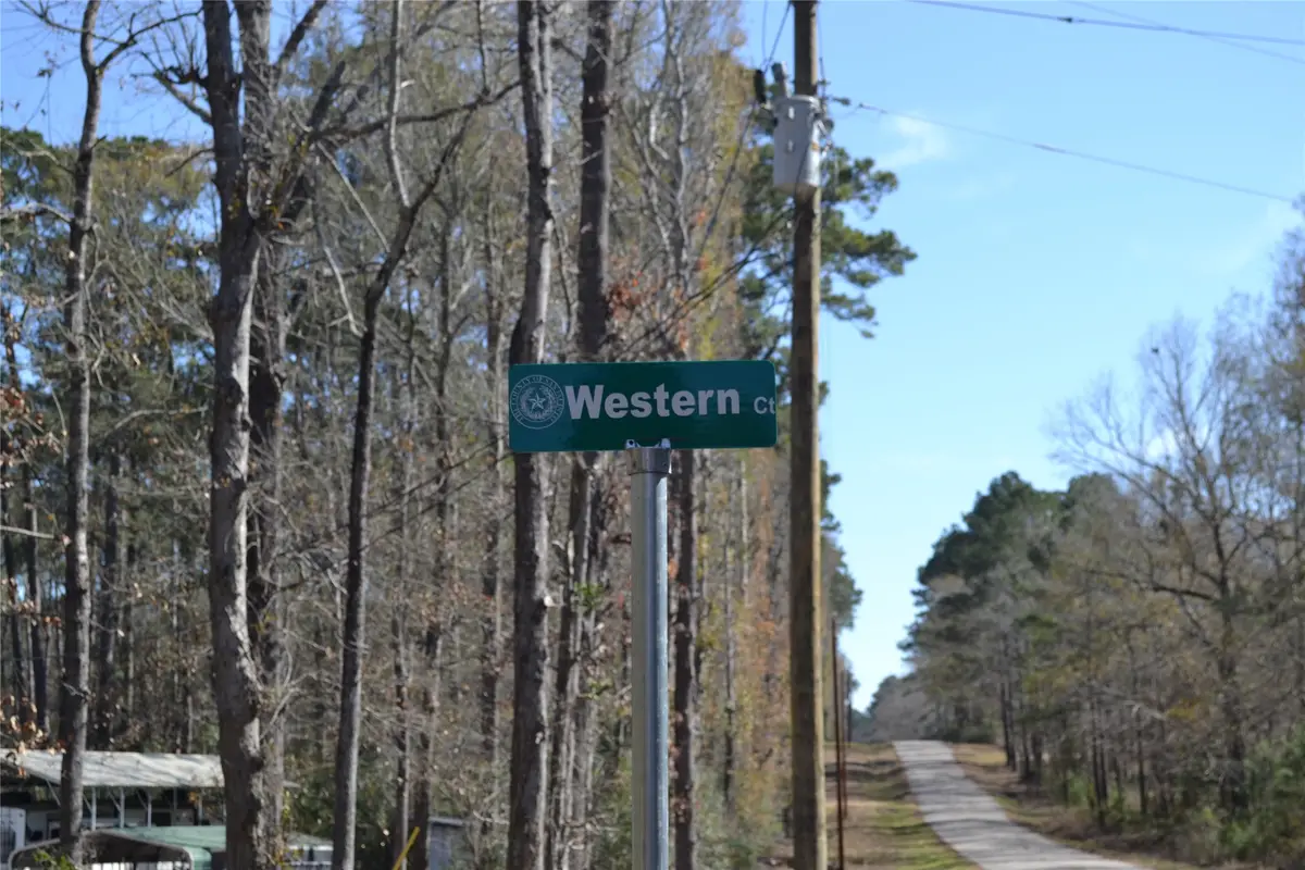 000 Central Drive, Coldspring, TX 77331 - #1