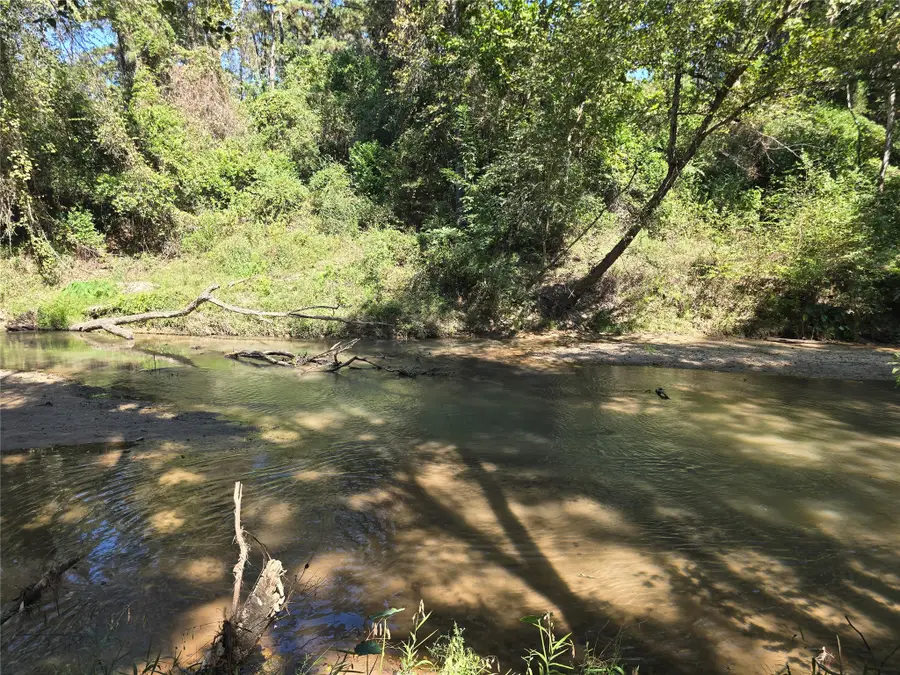 22017 Pinebrook Drive, New Caney, TX 77357 - #3