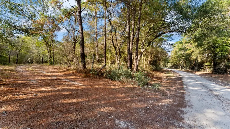 585 Bishop Road, Huntsville, TX 77320 - Image #2