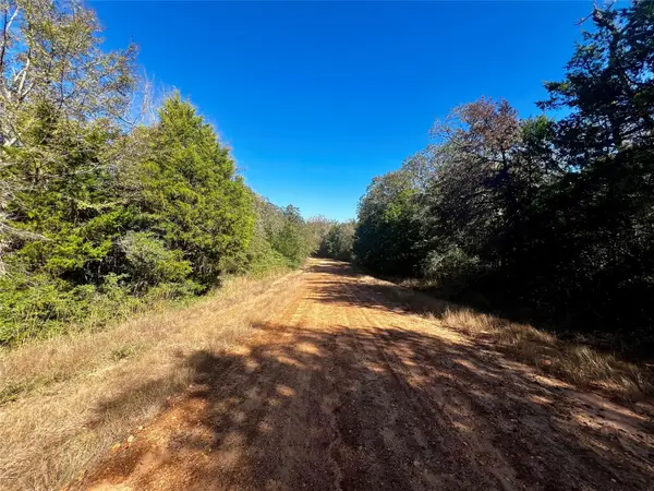 TBD Mockingbird, Normangee, TX 77871