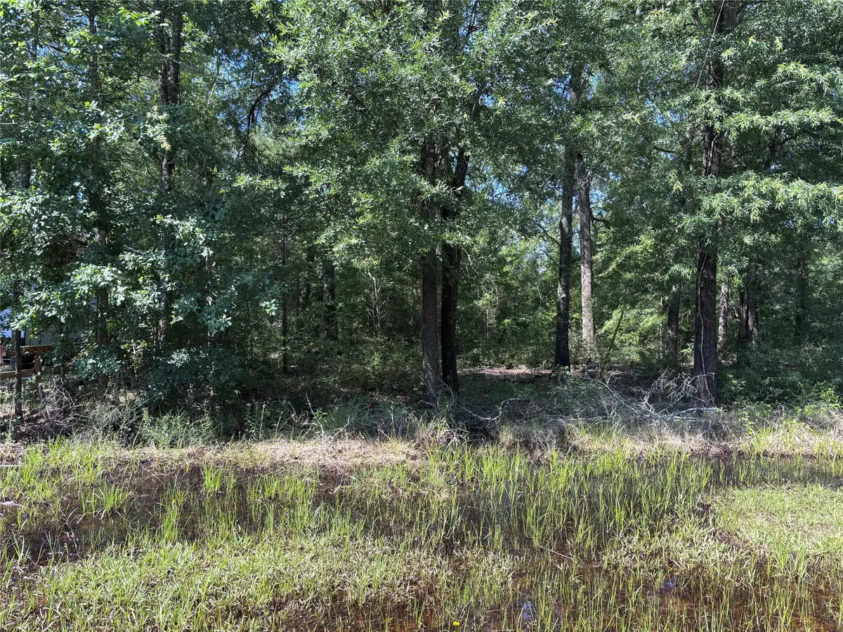 0 Southland, Livingston, TX 77351 - #1