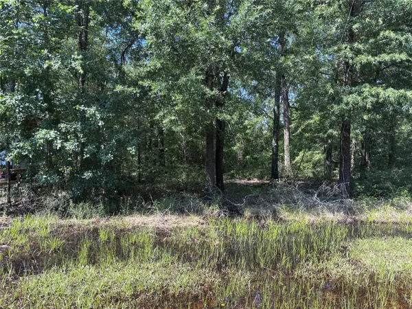 0 Southland, Livingston, TX 77351