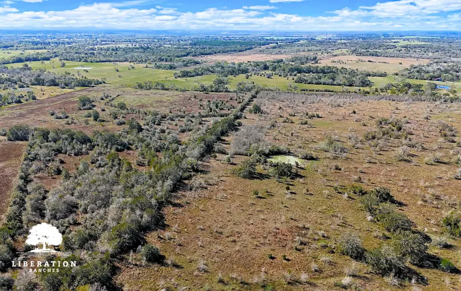 13316 Farm To Market Rd 2620 Tract 8, Bedias, TX 77831 - #2