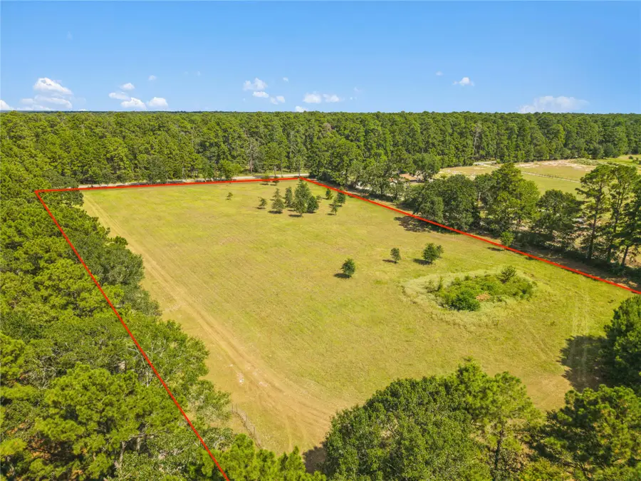 18957 Bethel Rd, Richards, TX 77873 - #3