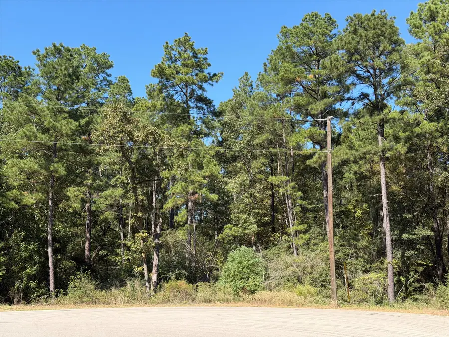 44-37-14 Larkspur Lane, New Waverly, TX 77358 - #3