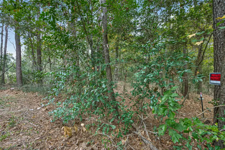 Lot 411 North Woods, Cleveland, TX 77328 - Image #2