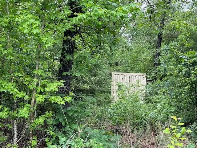 000 Co Rd 235, Oakwood, TX 75855 - #3