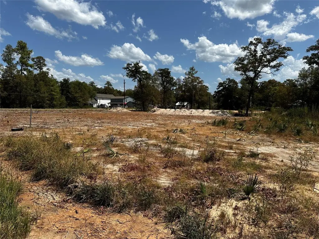 17123 Spindle Oaks Drive, Conroe, TX 77385 - #1