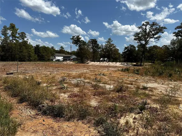 17123 Spindle Oaks Drive, Conroe, TX 77385