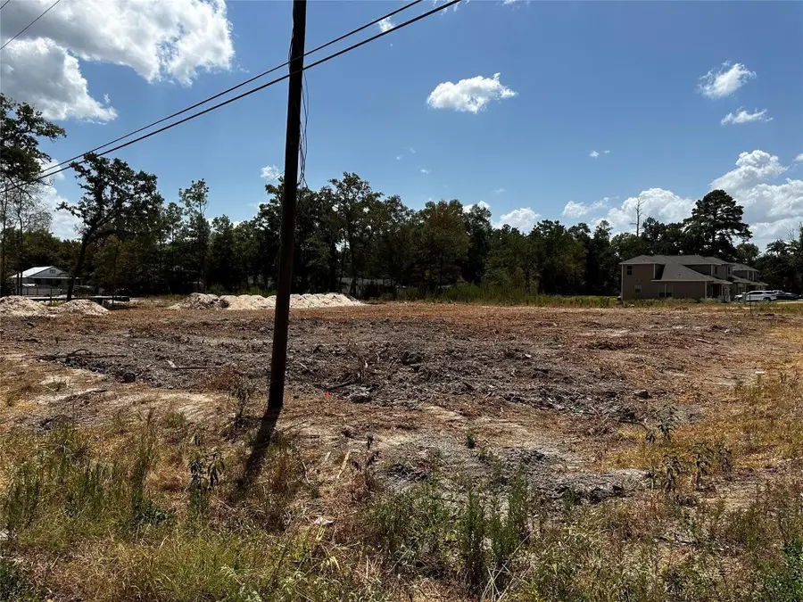 17123 Spindle Oaks Drive, Conroe, TX 77385 - #3