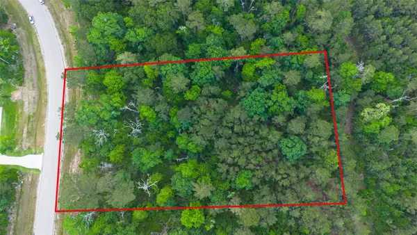 186 Exploration Road, New Waverly, TX 77358