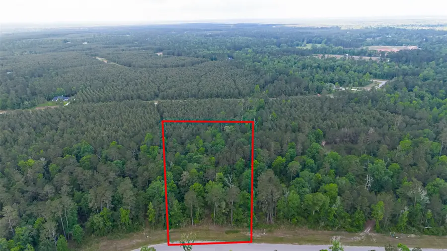 186 Exploration Road, New Waverly, TX 77358 - #2