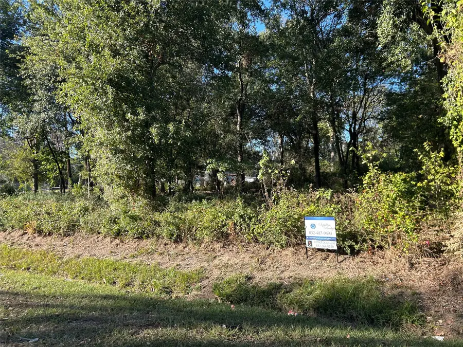 402 Wells Street, Spring, TX 77373 - Image #2