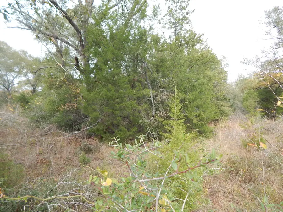 TBD Tx-30, Anderson, TX 77830 - Image #2