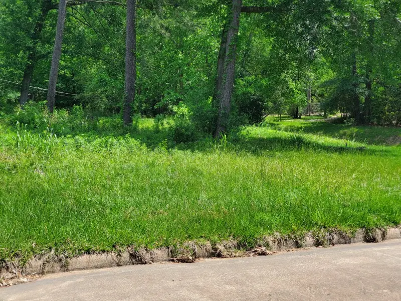 27218 Afton Way, Huffman, TX 77336 - #2