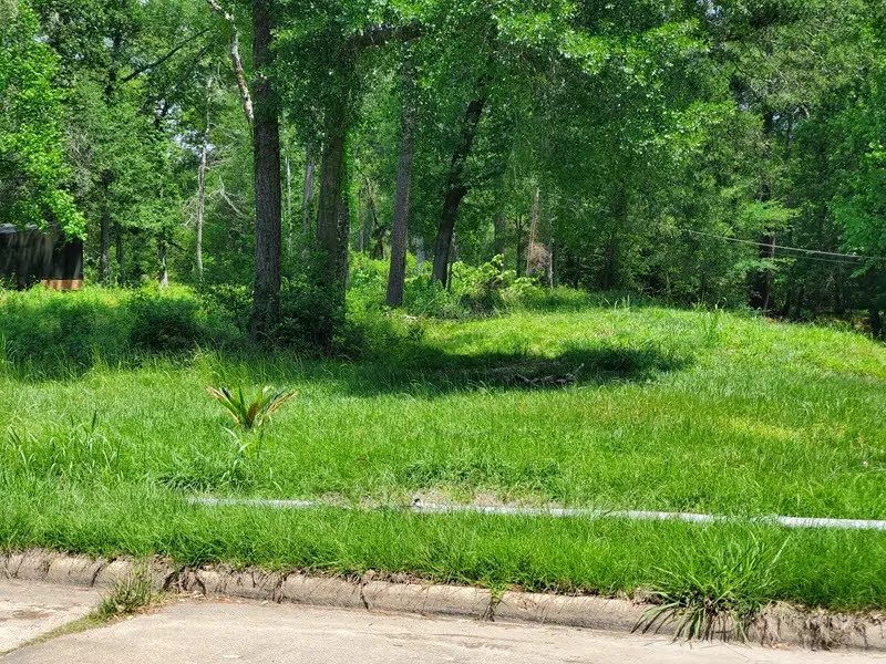 27218 Afton Way, Huffman, TX 77336 - #3