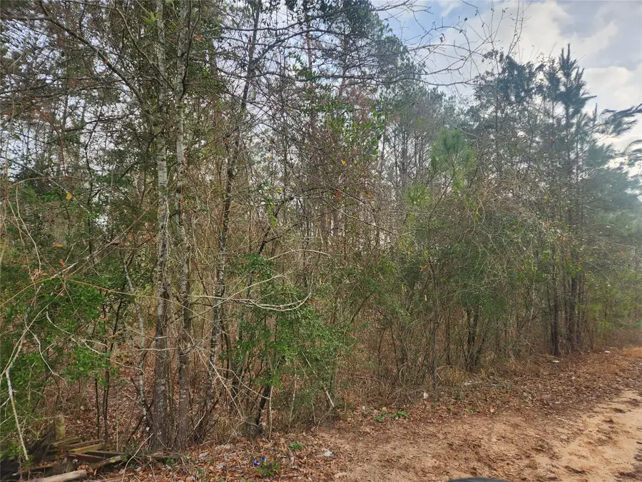 Lot 8 Yupon Lane, Plantersville, TX 77363 - #2