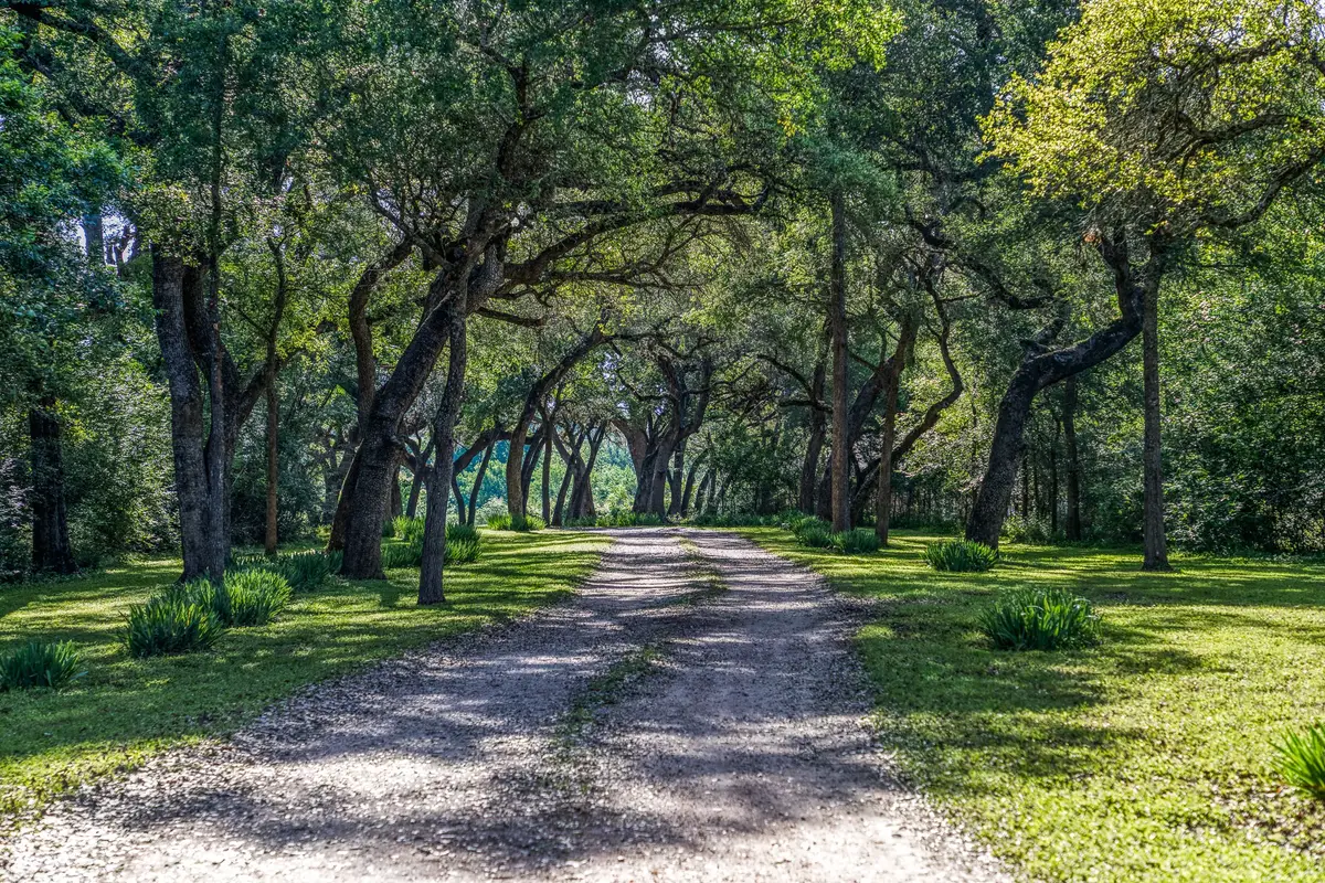 Tract 6 - 8145 Fm 390 E, Brenham, TX 77833 - #1