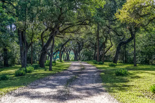 Tract 6 - 8145 Fm 390 E, Brenham, TX 77833