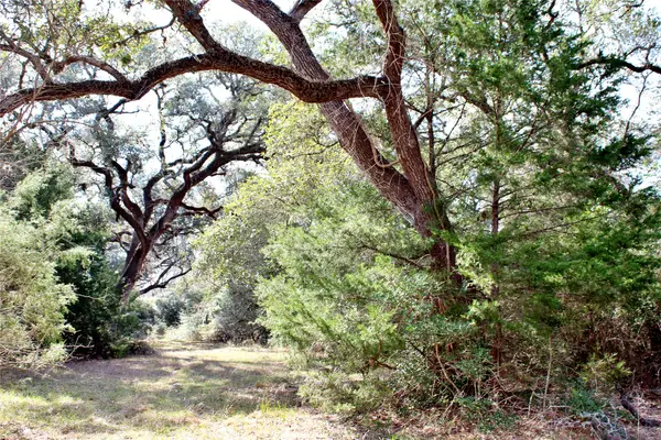 Parcel 13 Lobo Lane, Columbus, TX 78934