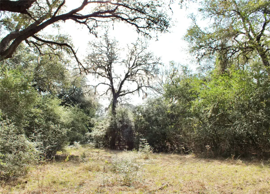 Parcel 13 Lobo Lane, Columbus, TX 78934 - #2