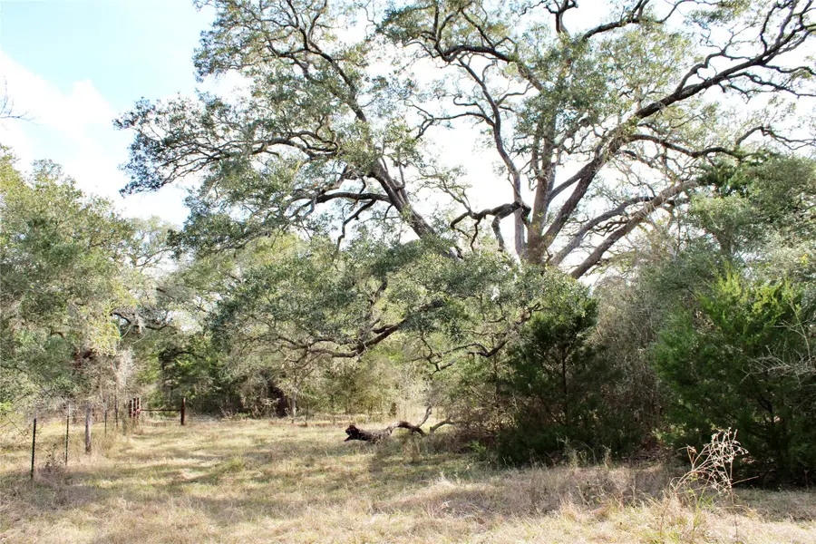 Parcel 13 Lobo Lane, Columbus, TX 78934 - #3